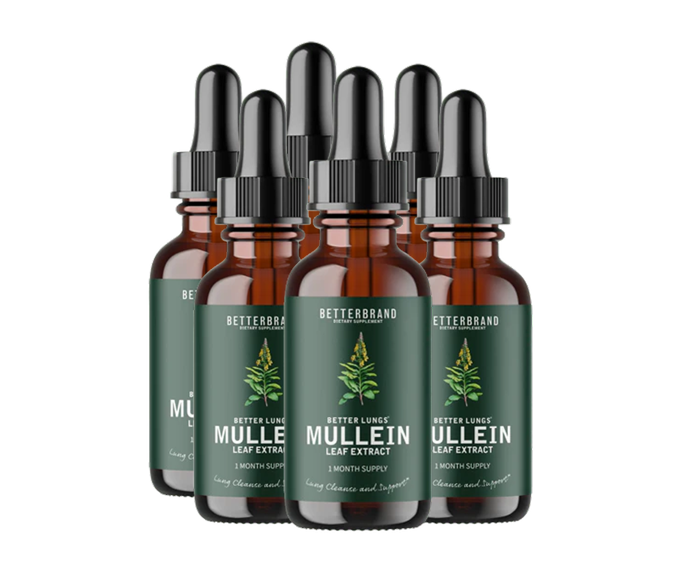 BetterLungs® Mullein + Chlorophyll