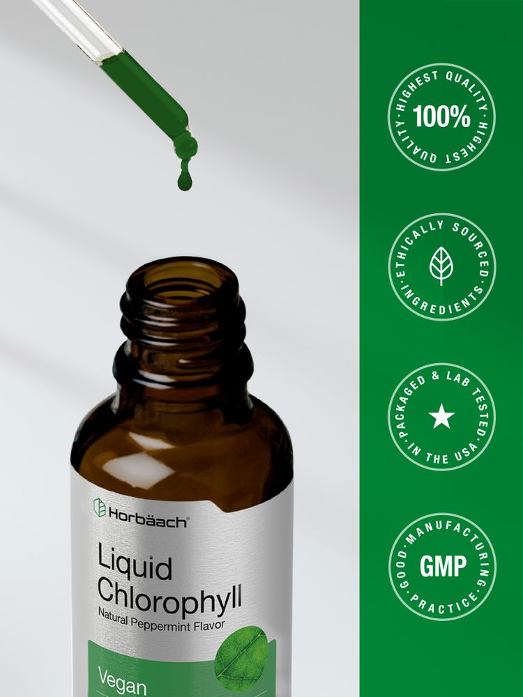 Chlorophyll | 2oz Liquid