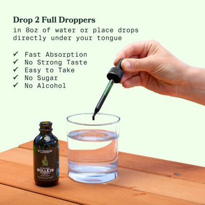 BetterLungs® Mullein + Chlorophyll