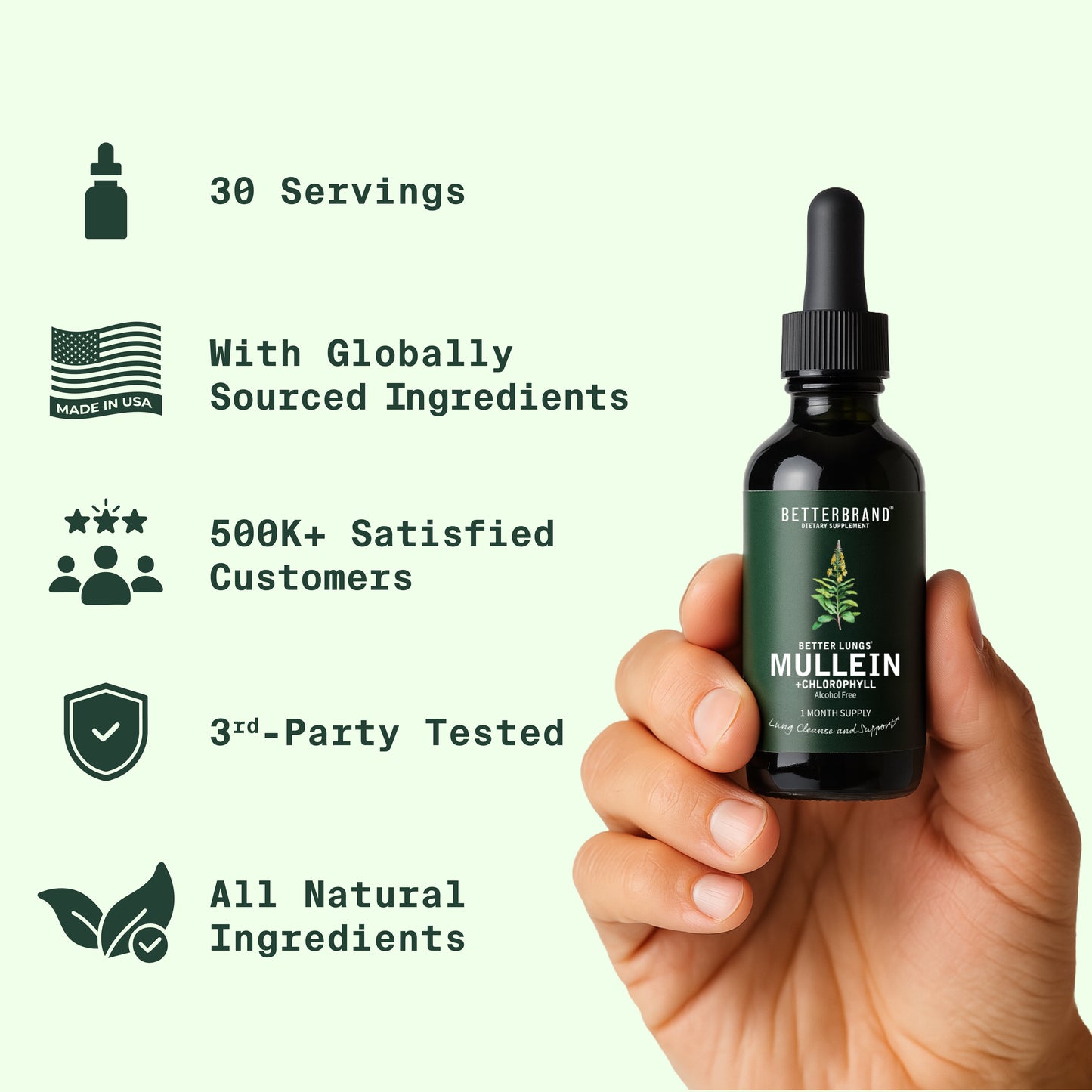 BetterLungs® Mullein + Chlorophyll
