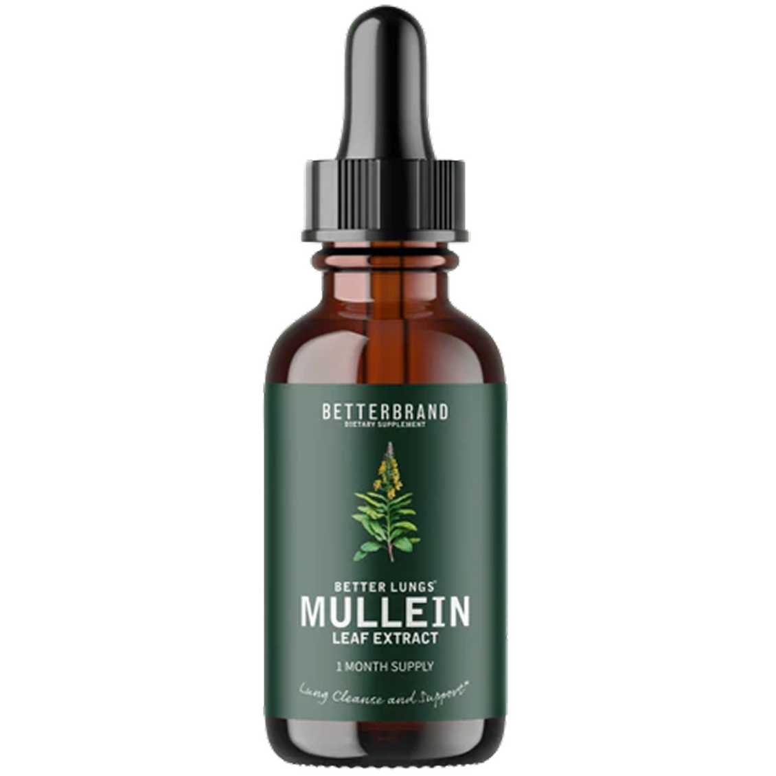 BetterLungs® Mullein + Chlorophyll