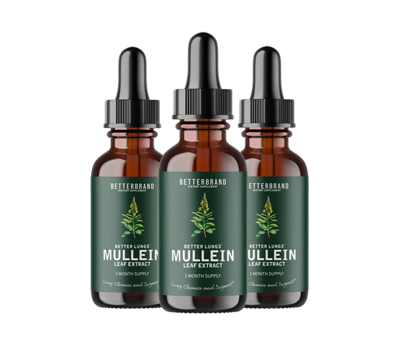 BetterLungs® Mullein + Chlorophyll