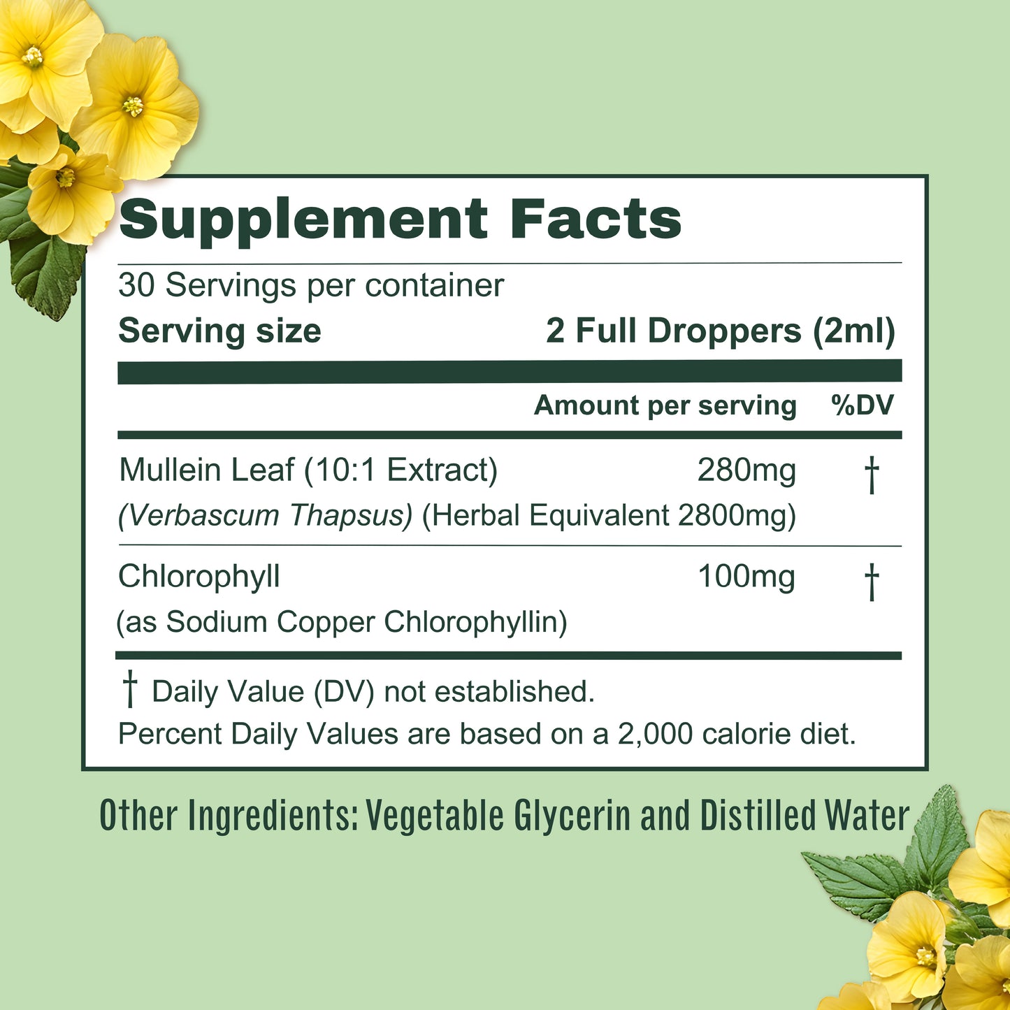 BetterLungs® Mullein + Chlorophyll