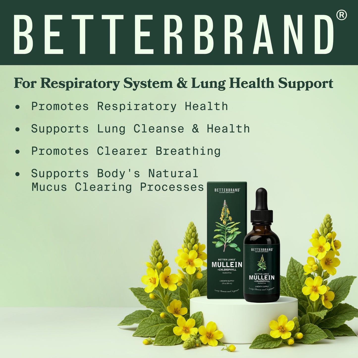 BetterLungs® Mullein + Chlorophyll