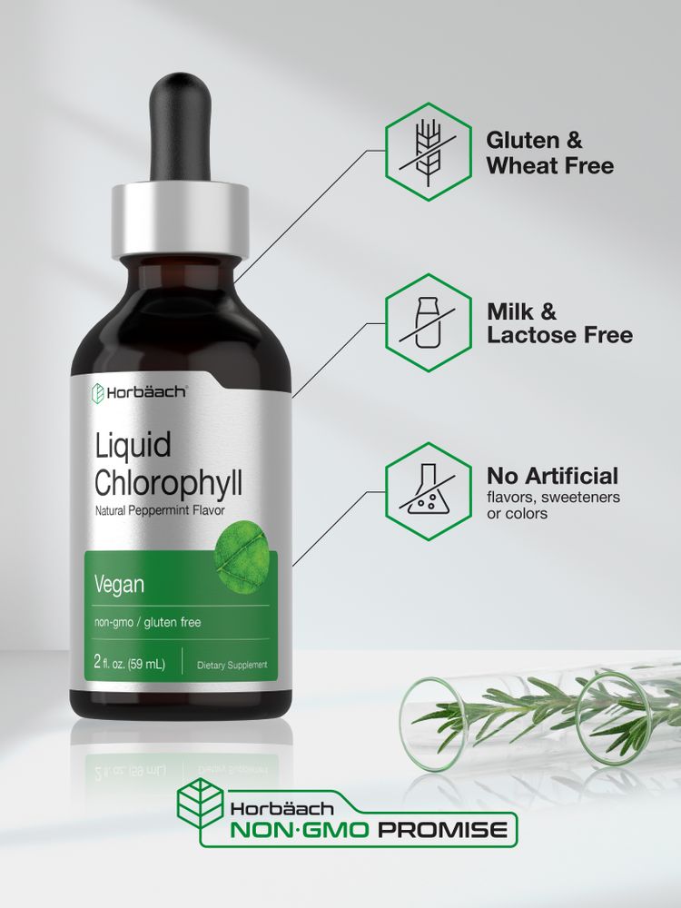 Chlorophyll | 2oz Liquid
