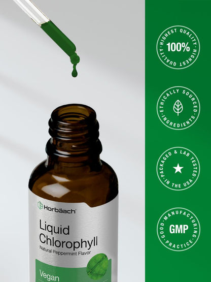 Chlorophyll | 2oz Liquid